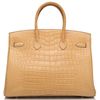 Hermès Birkin 35 Mais Matte Crocodile Alligator PHW