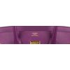Hermès Birkin 35 Anemone Epsom GHW
