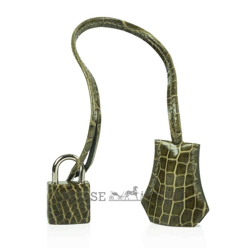 Hermès Birkin 35 Vert Vert Veronese Lisse Crocodile Porosus PHW