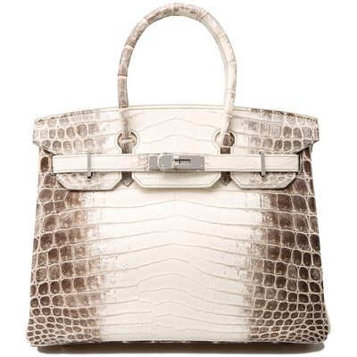 Hermès Birkin 25 Blanc Himalayan Crocodile Niloticus PHW