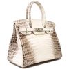 Hermès Birkin 25 Blanc Himalayan Crocodile Niloticus PHW