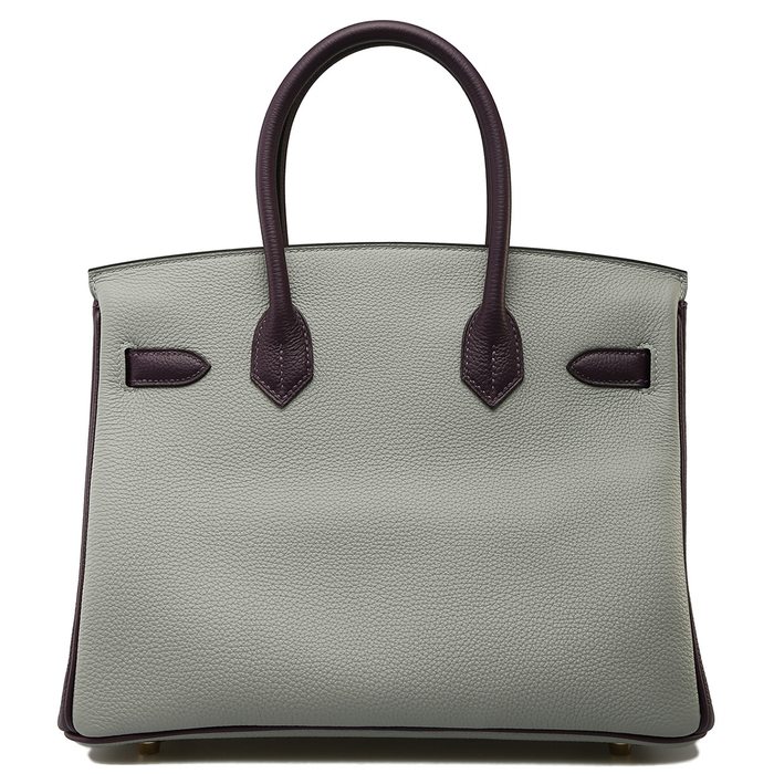 Hermes Birkin 25 Handbag 4Z Gris Mouette Togo GHW