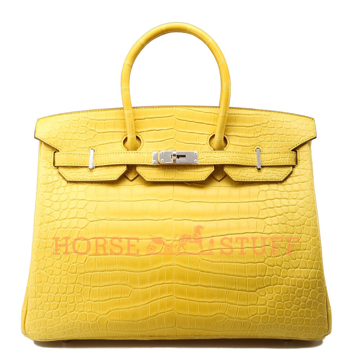 Hermès Birkin 35 Mimosa Crocodile Porosus Matte Gold Hardware GHW