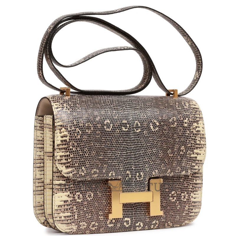 Hermès Constance 18 Ombre Shiny Salvator Varanus Lizard GHW