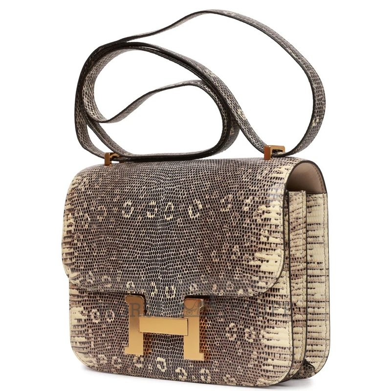 Hermès Constance 18 Ombre Shiny Salvator Varanus Lizard GHW