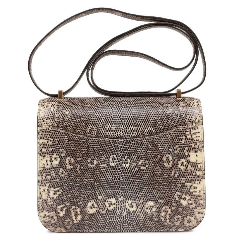 Hermès Constance 18 Ombre Shiny Salvator Varanus Lizard GHW