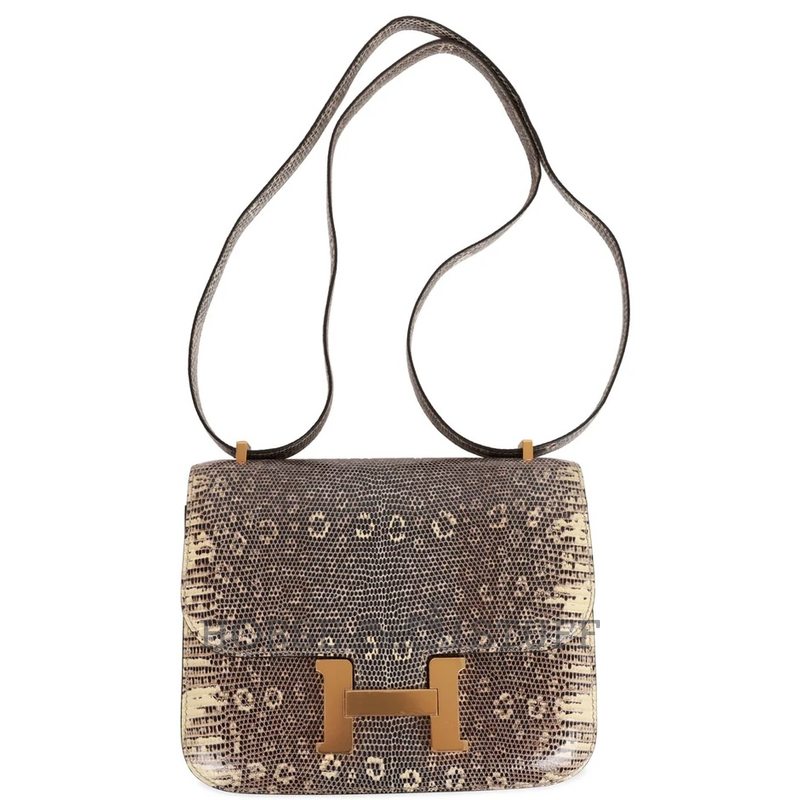 Hermès Constance 18 Ombre Shiny Salvator Varanus Lizard GHW