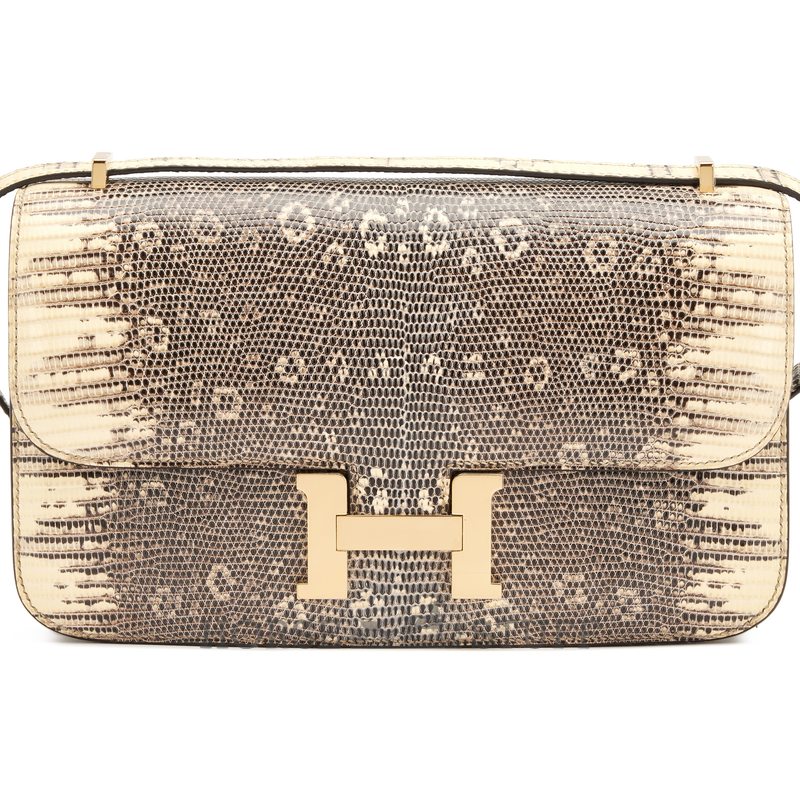 Hermès Constance Elan OMBRE SHINY SALVATOR VARANUS LIZARD GHW