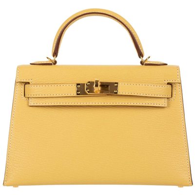 Hermès Kelly Sellier Mini II Foin Chèvre GHW