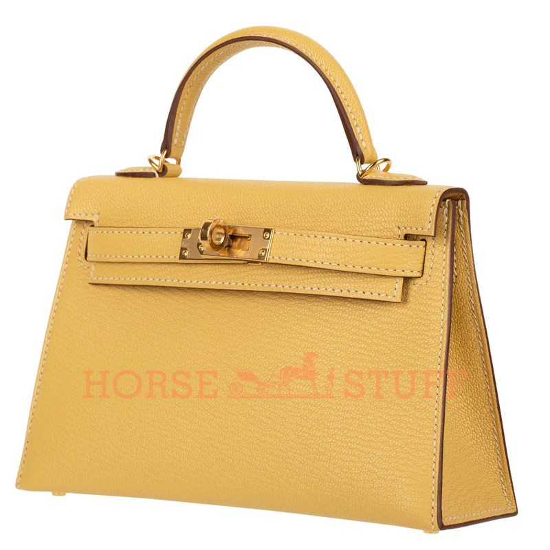 Hermès Kelly Sellier Mini II Foin Chèvre GHW