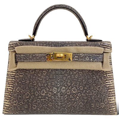 Hermès Kelly Sellier Mini II Ombre Shiny Salvator Varanus Lizard GHW