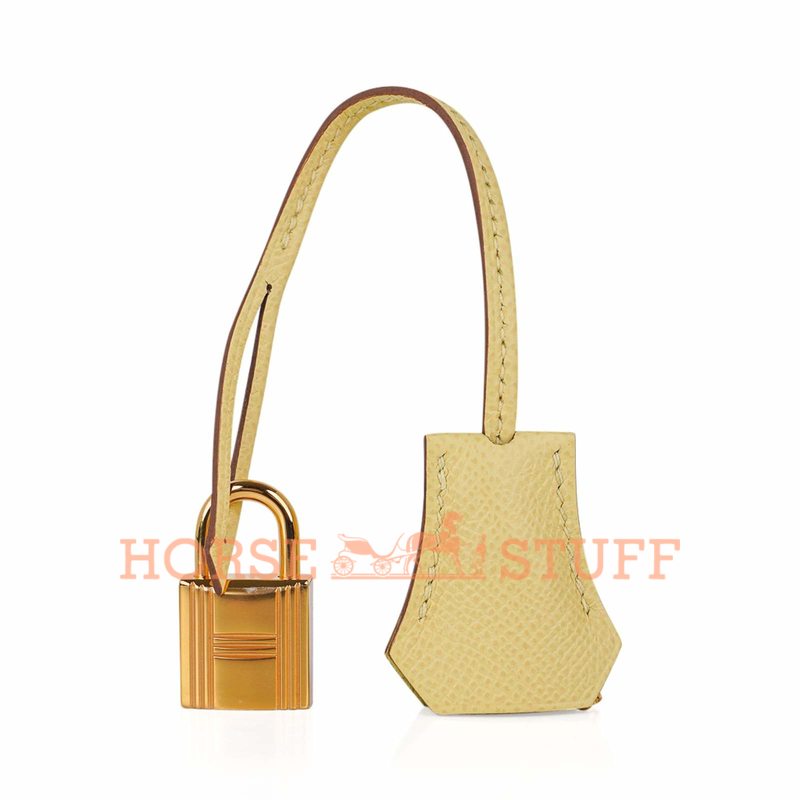 Hermès Kelly Sellier 25 Jaune Poussin Epsom GHW