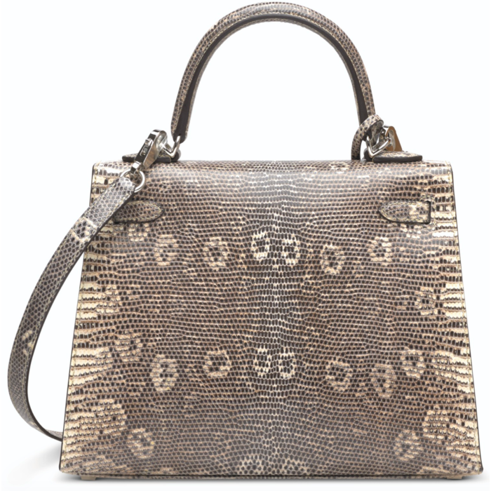 Gloss Vintage & Luxury Bag Ltd on Instagram: Hermes mini kelly 2 Ombre  lizard ghw #hermesombre #hermesombrelizard #hermesminikelly  #hermesminikellylizard #glossvintage