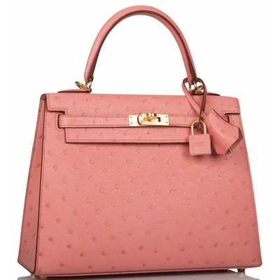 Hermès Kelly Sellier 25 Terre Cuite Ostrich GHW 