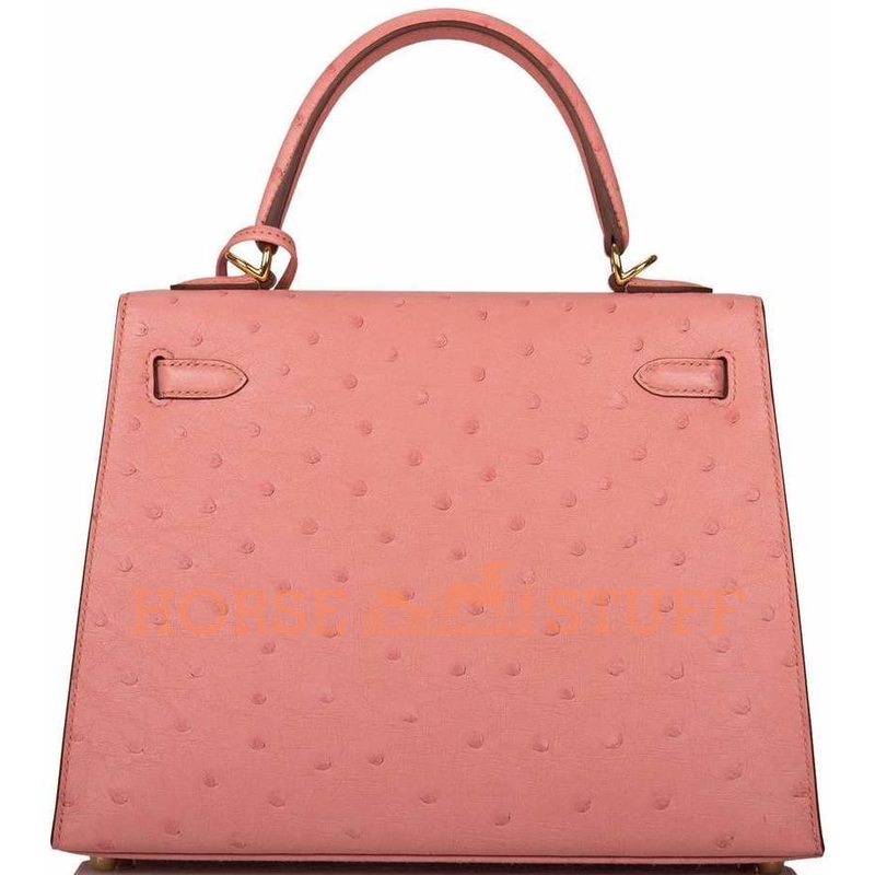 Hermès Kelly Sellier 25 Terre Cuite Ostrich GHW