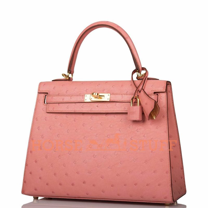 Hermès Kelly Sellier 25 Terre Cuite Ostrich GHW