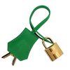 Hermès Kelly Sellier 25 Bambou Chèvre Mysore GHW