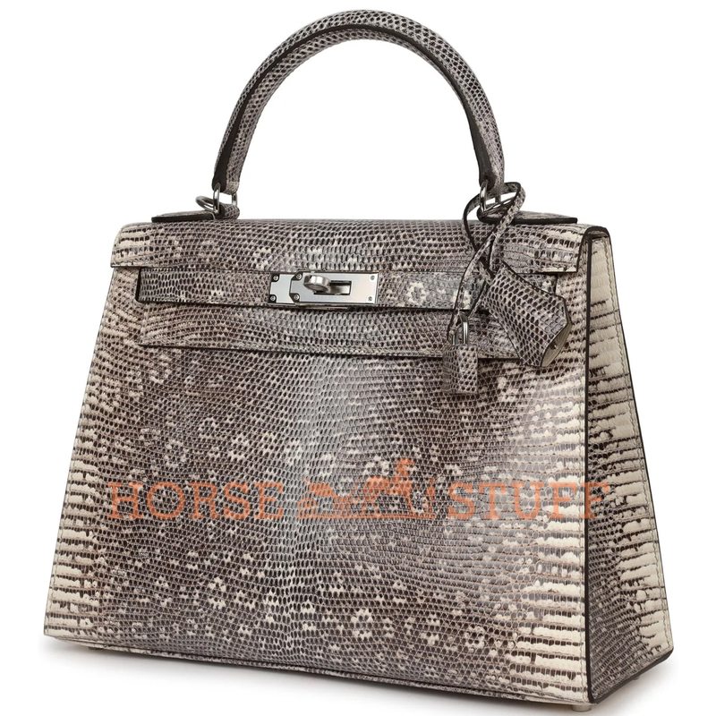 Hermès Kelly Sellier 28 Ombre Shiny Salvator Varanus Lizard PHW