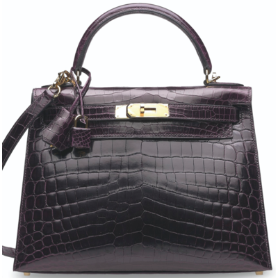 Hermès Kelly Sellier 28 Prunoir Lisse Crocodile Niloticus GHW