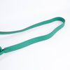Hermès Lindy Mini Vert Vertigo Clemence GHW